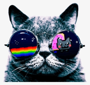 Cool Cat Pillow Case #810871