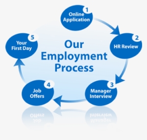 There May Be Small Differences In The Employment Process - Employee Hiring Process #812064