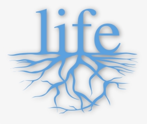 32 Phd Positions - Love My Life I Am Beautiful #813118