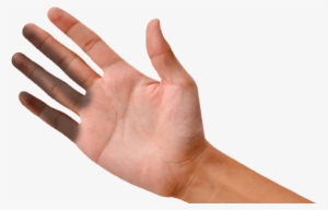 Mission Tampa Helping Hand Up - Palma De La Mano Abierta #813287