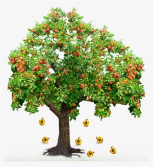 Mcintosh Apple Tree Disease #813682