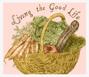 Color-life - Color #813741