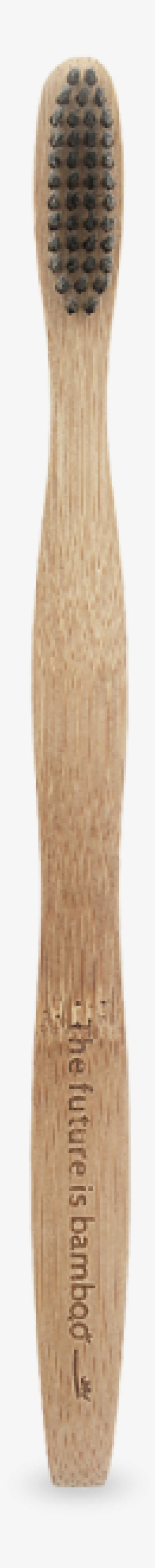 The Future Is Bamboo - Brush #814550