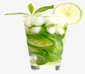 Bamboo Paper Straws By Kikkerland #814994