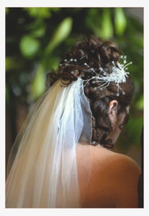 Wedding #815213