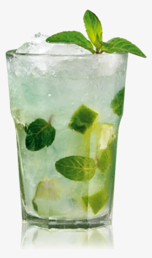 Foro - Colungateam - Mojito Png #815748