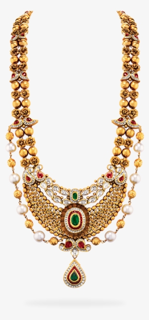 Gold Long Haar - Long Haar Gold #815994