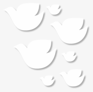 Houston Dream Doves #817047