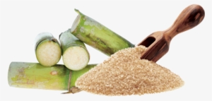 Banner Transparent Stock Donald Trump And The U - Acido Glicolico De Donde Se Extrae #817754