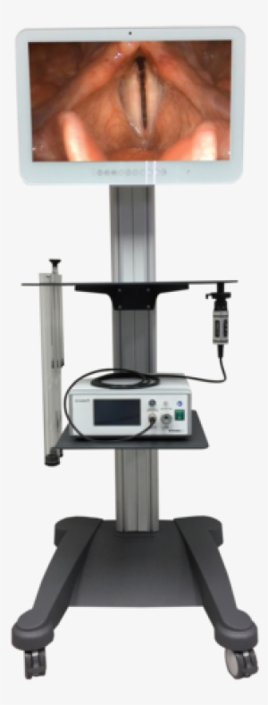 Ecleris Stroboled 80w Led Bright White Light - Chair #818401