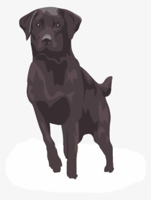 Small - Black Lab Clip Art #818423