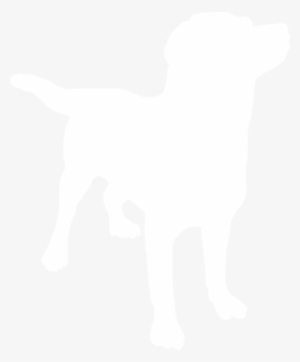 How To Set Use White Labrador Clipart #818452