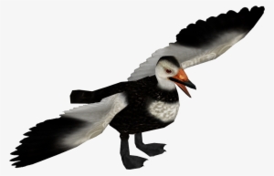 Labrador Duck M - Labrador Duck #818564