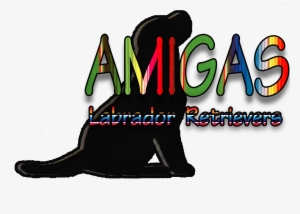 Placeholder Picture - Labrador Retriever #818745