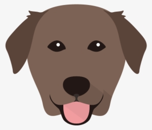 Companion Dog #818914