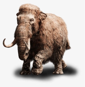 Far Cry Primal Baby Mammoth #818978
