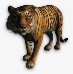 Far Cry 4 Tiger Png #819007