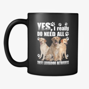 Joy Pure Chicken And Potatoes Dry Dog Food, 28-lb Bag #819063