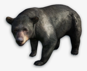 Far Cry 4 Animals Png #819110