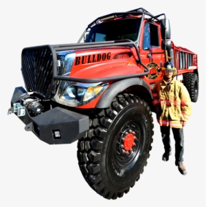 Hawk, Buffalo, Emergency Equipment, Fire Truck Tailgater, - Wildland Fire Engine #819111