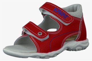 Kavat - Alf - Sandal #8100860