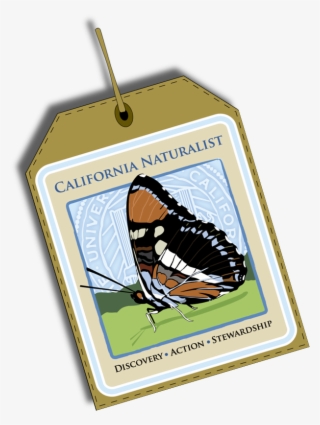 California Naturalist Registration #8102968