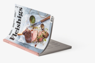 Fleishigs Magazine Is The Newest Kosher Food Magazine - Book #8103071