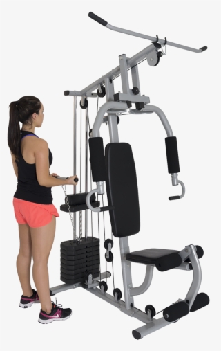 Prev - Seated Leg Extension Women #8103217