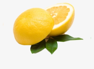 Citrus Fruit Png Free Commercial Use Images - Sweet Lemon #8103700