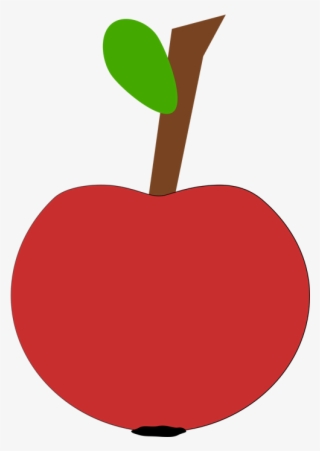 Picture Library Library Fruit Names A Z With Pictures - Seedless Fruit #8104953