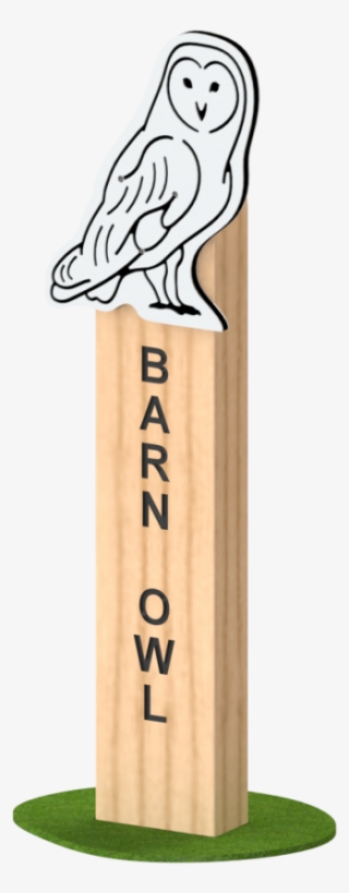 Barn Owl - Snowy Owl #8106631