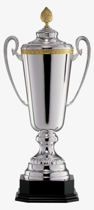 Source - - Trophy #8107321