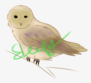 Yn33lrn - Snowy Owl #8107565