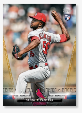 Gallery - Catcher #8107626