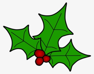 Holly, Berries, Leaves Spread, Green, Png #8107958