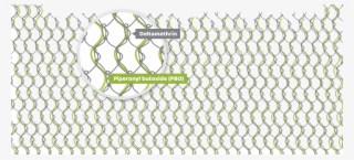 Nrs- - เสื้อ แขน ยาว แถบ Off #8108027