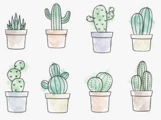 Drawn Cactus Vector - Cactus Doodle #8110874