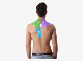 Posture Training On The Go Inspector Gadget, Career, - Upright Go Posture Trainer #8111474