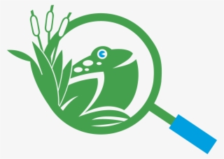 Outdoor Discovery Center Holland #8111688