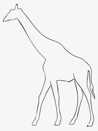 Download Png - Giraffe #8111735 Download Png - Giraffe #8111735