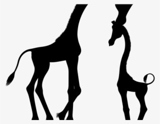 Silhouette Clipart Giraffe - Black And White Baby Giraffe Clipart #8112191