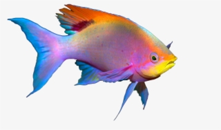 Free To Edit #8112329