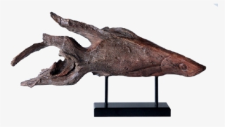 Bark Fish - Thescelosaurus #8112834