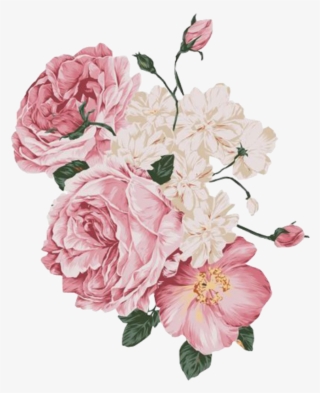 Report Abuse - Pale Pink Flower Png #8112842