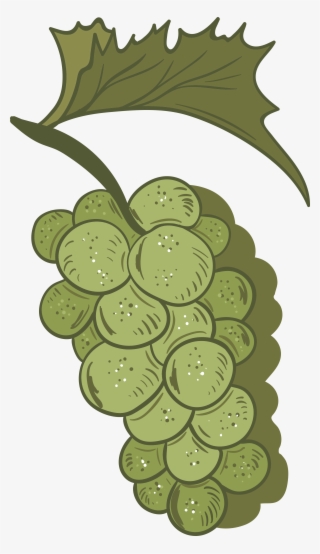 De Frutas Pintados M O Uvas Png - عنب مرسومة #8112972