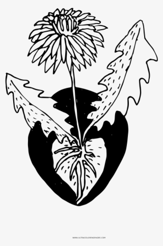 Dandelion Coloring Page - Illustration #8113959