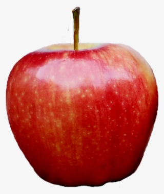 Red Kashmir Apple Png Free Download - Png Image Of Apple #8114775