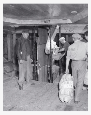 Unloading Banana Bunches From Cargo Ship Barfleur At #8114809