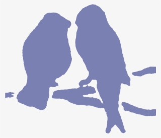 Com/wp Text Logo - Bird Of Prey #8115349