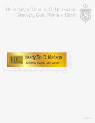 Physical Therapist Name Plate #8115354